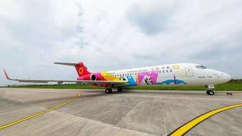 国产一区21,匠心独运，光影交织的艺术之旅